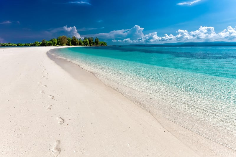 Exotic Beach